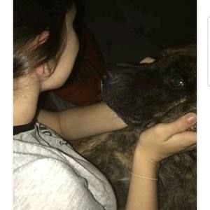 Meet your Posher, Ariel